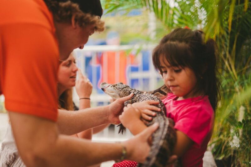 the-miami-sightseeing-day-pass-35-attractions