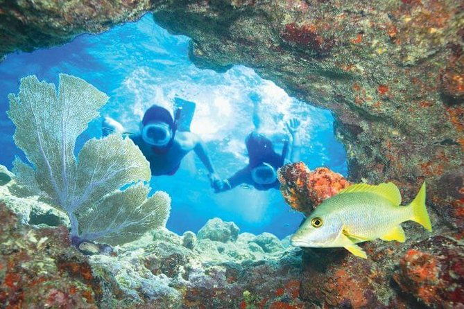 the-miami-sightseeing-day-pass-35-sun-soaked-attractions-tours