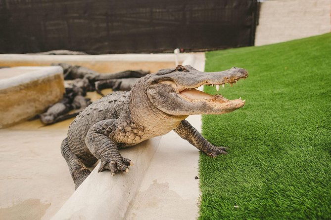 the-miami-sightseeing-day-pass-35-sun-soaked-attractions-tours