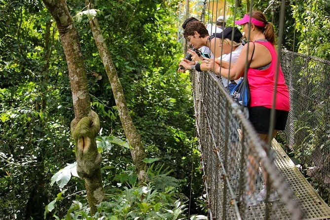 the-mistico-hanging-bridges