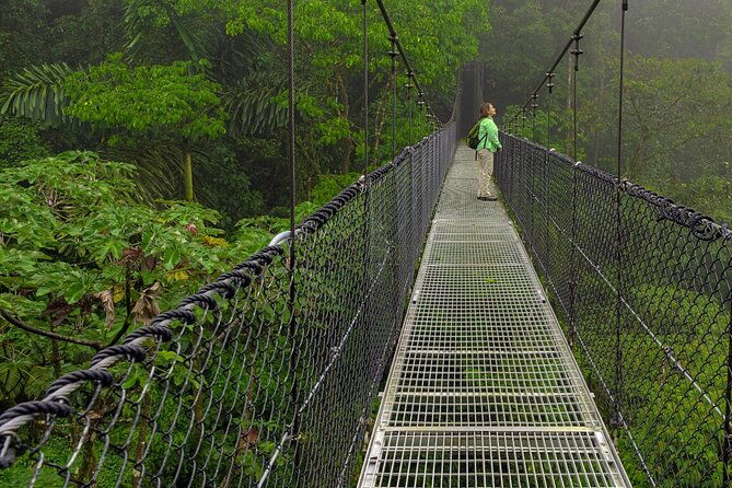 the-mistico-hanging-bridges