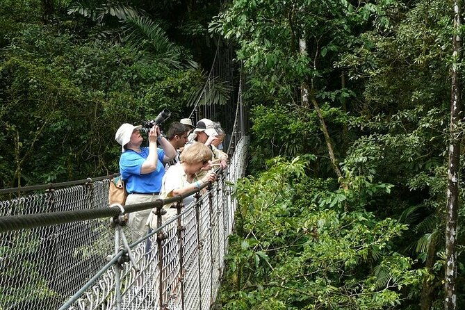 the-mistico-hanging-bridges