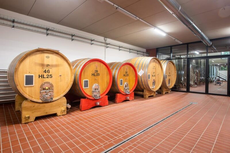 the-monsu-winetasting-in-la-morra