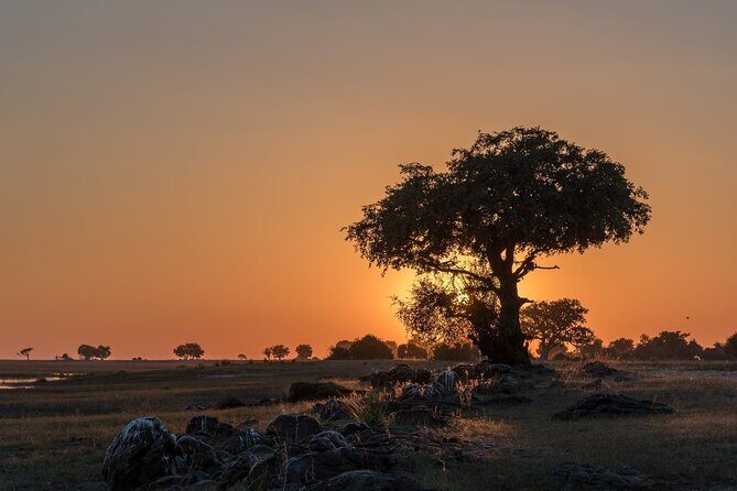 The Mosi oa Tunya National Park Game Drive - Practical Tips for Travelers