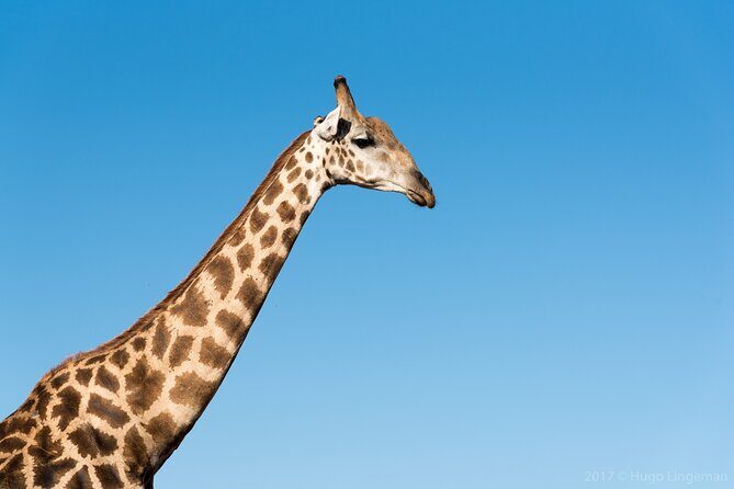 The Mosi oa Tunya National Park Game Drive - FAQs