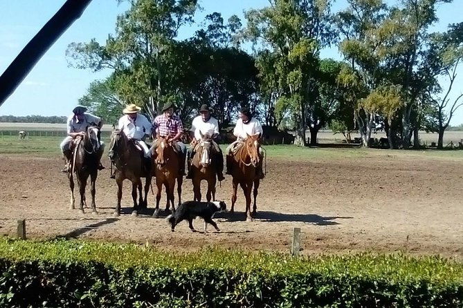 the-most-traditional-fiesta-gaucha-in-buenos-aires