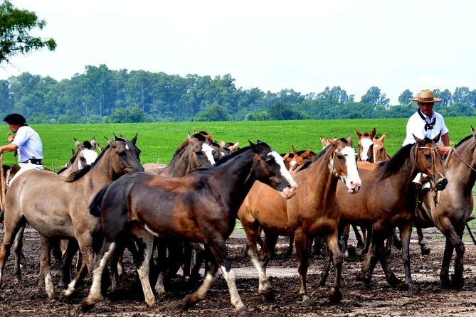 the-most-traditional-fiesta-gaucha-in-buenos-aires