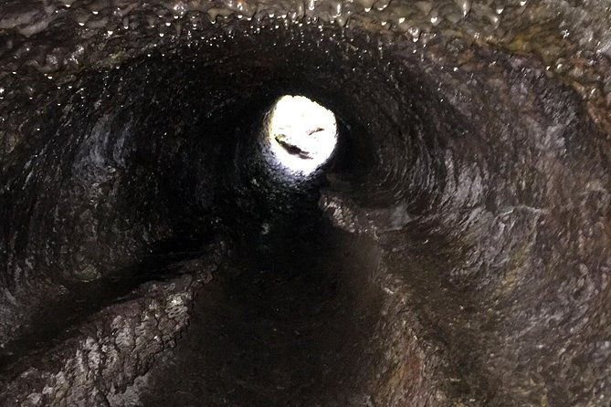 the-mt-st-helens-adventure-tour-from-portland-2