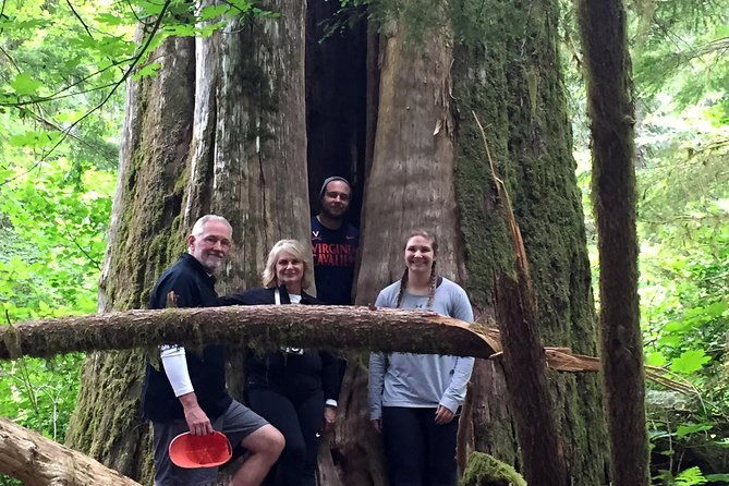 the-mt-st-helens-adventure-tour-from-portland