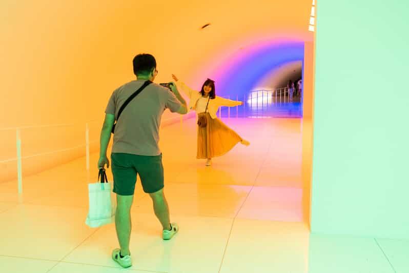 The Museum of Fine Arts, Houston Entry Ticket - Who Will Love This Experience?