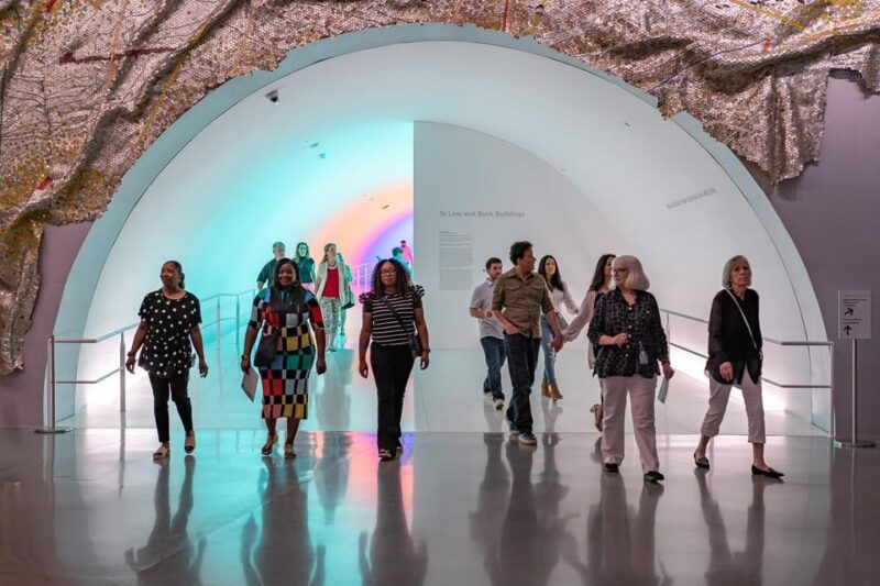 the-museum-of-fine-arts-houston-entry-ticket