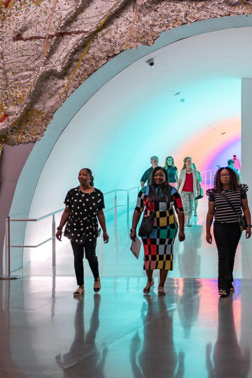 the-museum-of-fine-arts-houston-entry-ticket