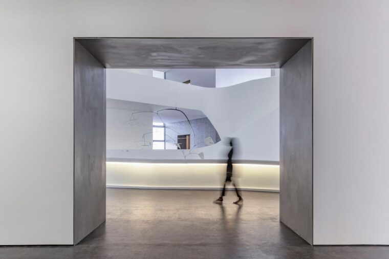 the-museum-of-fine-arts-houston-entry-ticket