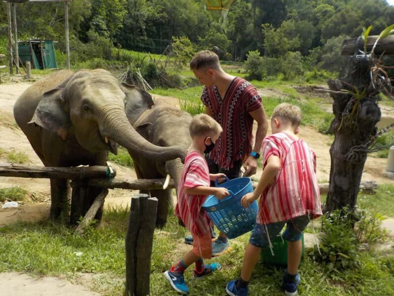 The Must-Do: Authentic Elephant & Village Life in Chiang Mai - Final Thoughts