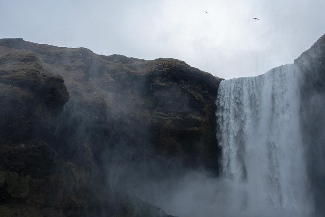 the-mysterious-south-coast-private-tour