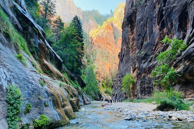 The Narrows: Zion National Park Private Guided Hike - Itinerary Breakdown: What You’ll Actually Do