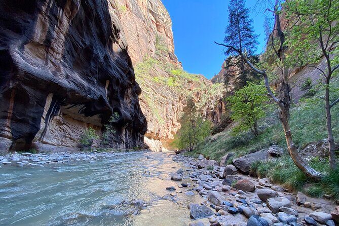 The Narrows: Zion National Park Private Guided Hike - The Value of a Private Tour