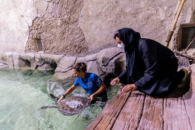 The National Aquarium Abu Dhabi Admission Tickets - Authentic Insights from Visitors