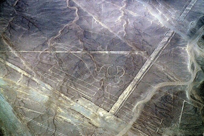 the-nazca-lines-huacachina-oasis-from-lima-private-trip