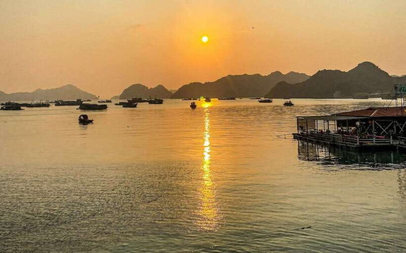The Newest and Most Luxurious Cruise on the Bay-Day Trip - The Experience: What to Expect on Your Day in Halong Bay