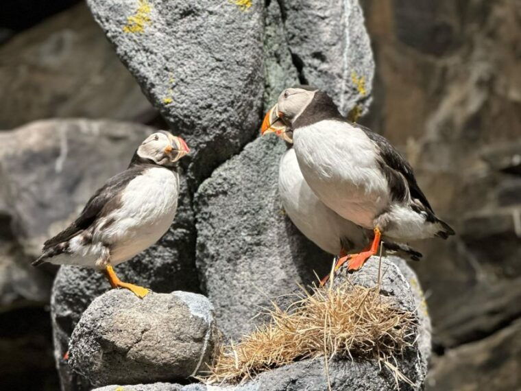 the-north-cape-midnight-tour