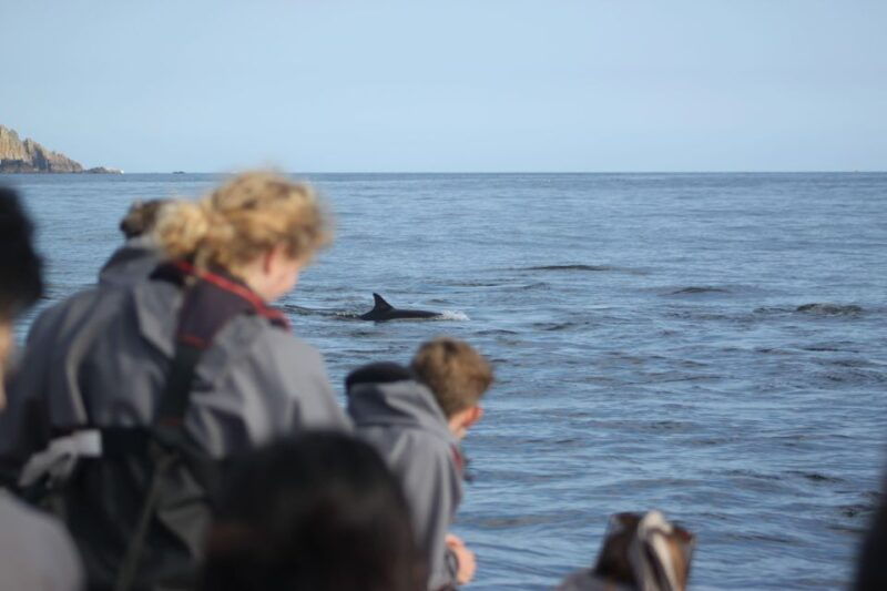 the-north-coast-boat-trip-experience