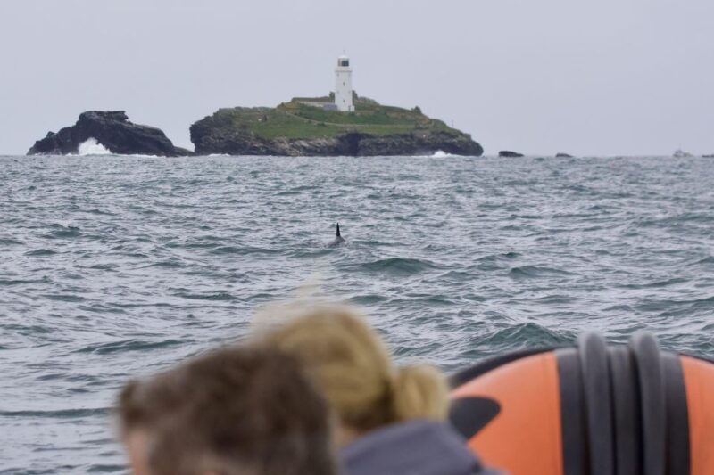 the-north-coast-boat-trip-experience