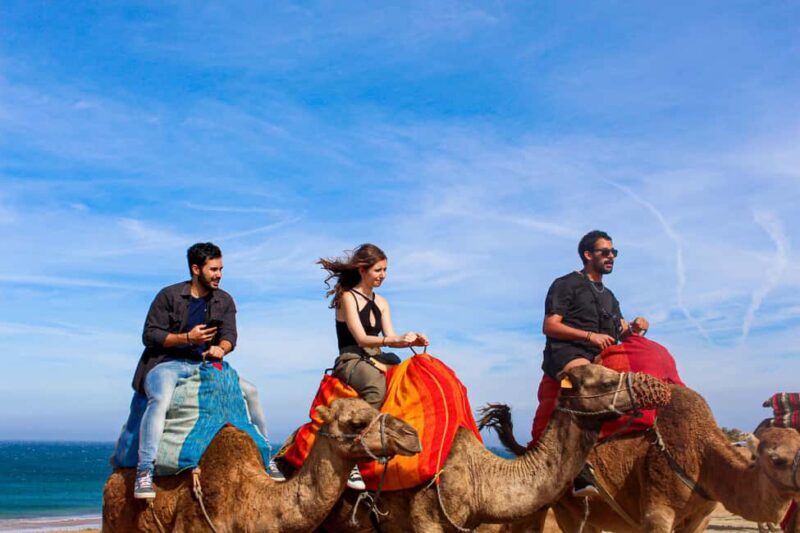 The North of Morocco in 3 Days ; Including Fes - Key Points