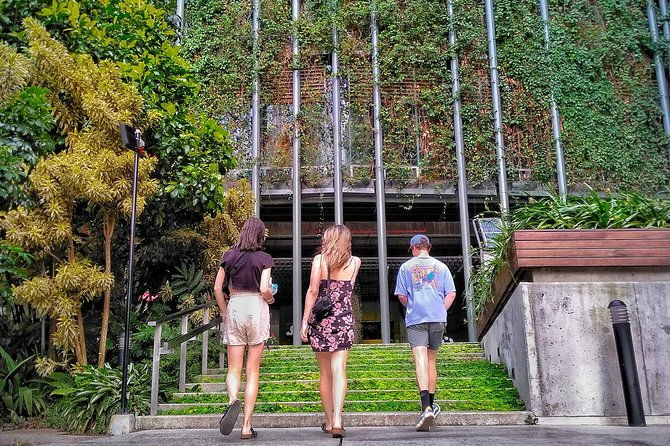 the-north-side-medellin-downtown-experience
