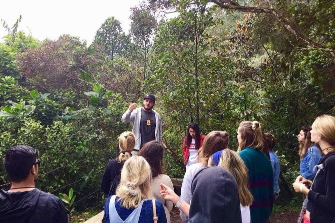 the-not-polite-to-use-his-name-city-tour