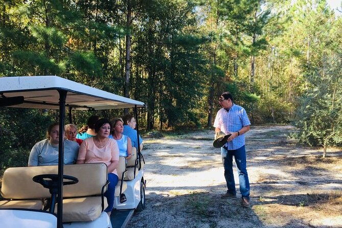 the-olive-grove-tour