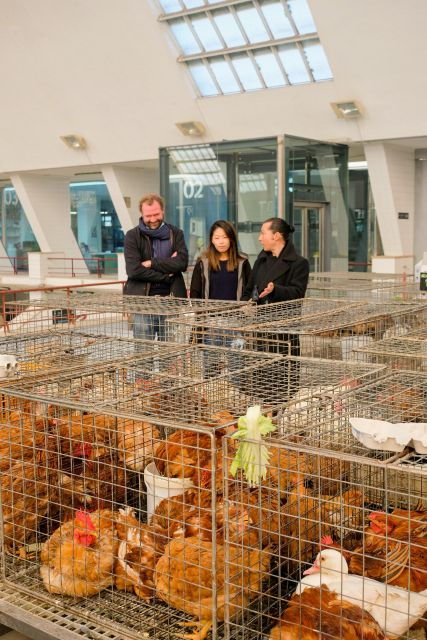 the-only-fish-market-tasting-tour-sea-to-table
