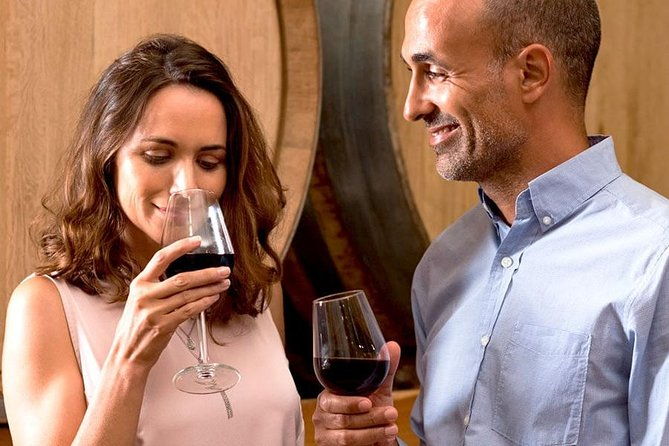 the-original-syrah-wine-tour-200-pm-630-pm-small-group-tour-from-lyon-2