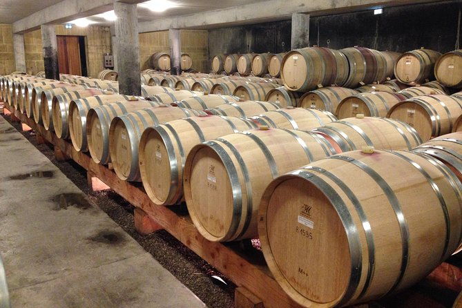 the-original-syrah-wine-tour-200-pm-630-pm-small-group-tour-from-lyon-2