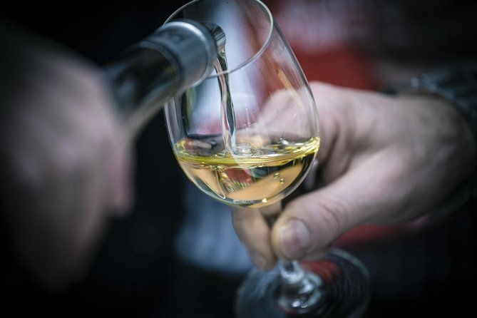the-original-syrah-wine-tour-900-am-130-pm-small-group-tours-from-lyon