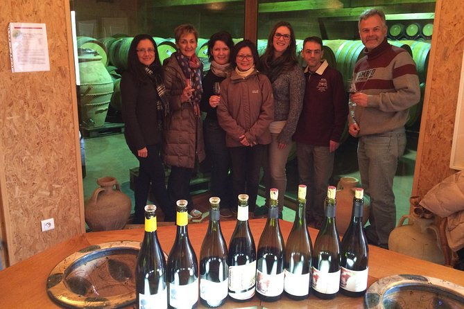 the-original-syrah-wine-tour-900-am-130-pm-small-group-tours-from-lyon