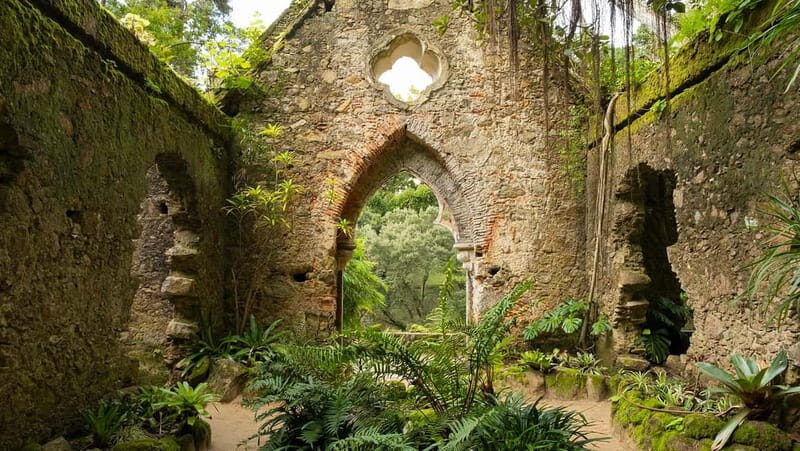 The Other Side of Sintra - Forgotten Woods Tour - Unpacking the Experience: What You Can Expect