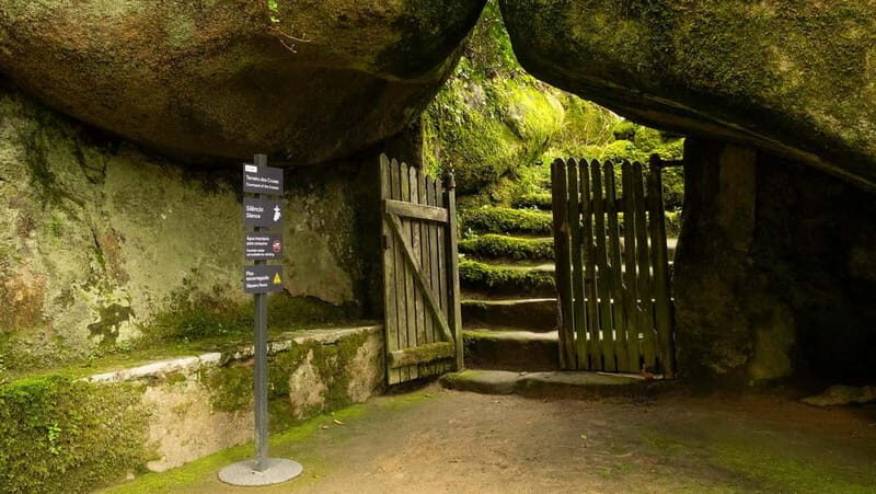 The Other Side of Sintra - Forgotten Woods Tour - Final Thoughts