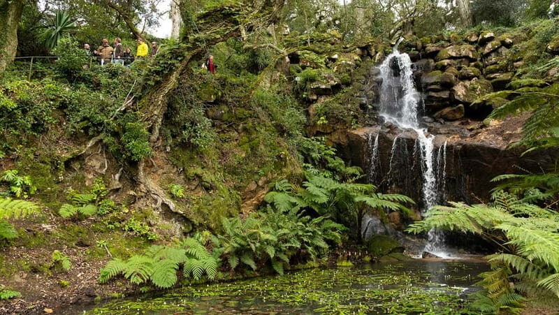 The Other Side of Sintra - Forgotten Woods Tour - FAQ