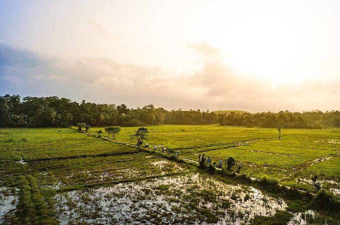 The Paddy Trail - Insights from the Reviews