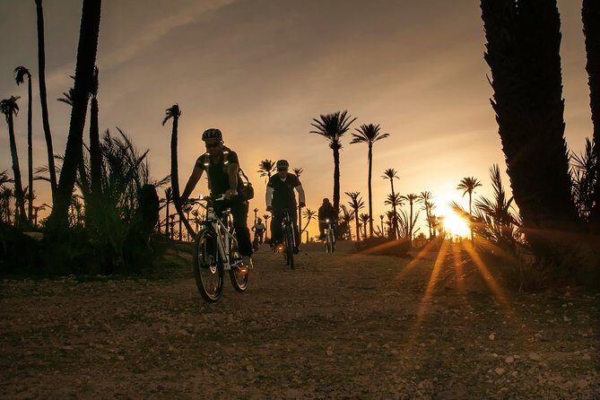 The Palmery Off-Road Bike Tour from Marrakech - Key Points
