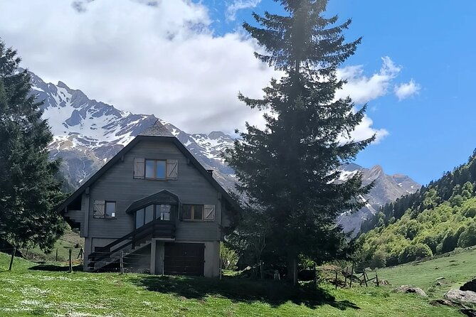 the-pamplona-foodies-tour-of-the-best-pintxos