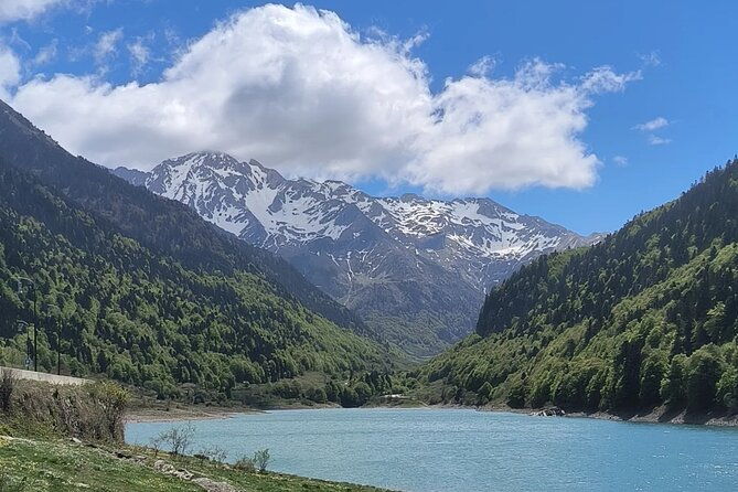 the-pamplona-foodies-tour-of-the-best-pintxos