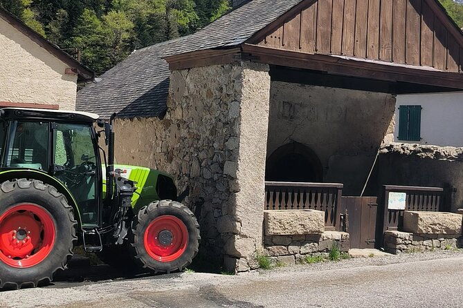 the-pamplona-foodies-tour-of-the-best-pintxos