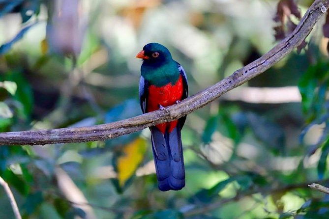 the-panama-canal-trek-cruise-private-tour