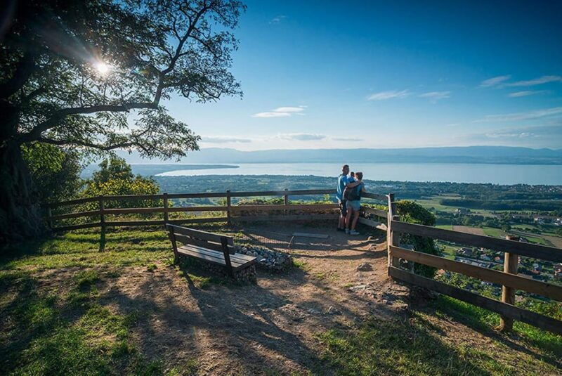The pearl of Lake Geneva 2Days/1Nights from Geneva - What Makes This Tour Stand Out?