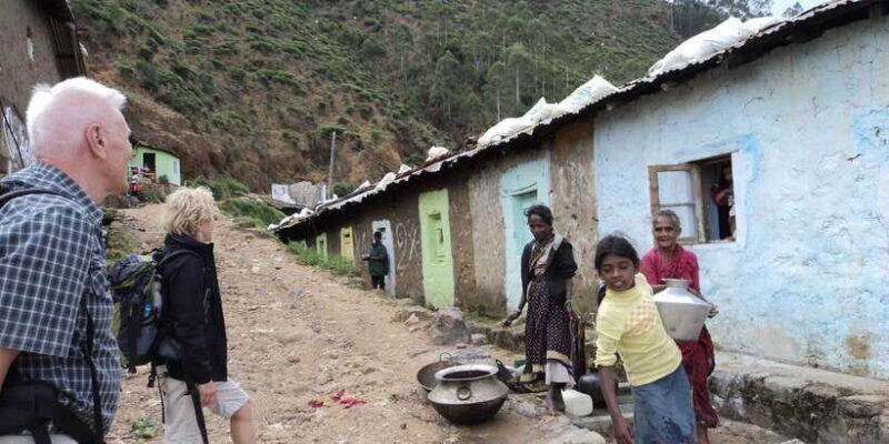 the-pekoe-trail-stage-12-trekking-fm-udaweriya-to-haputale