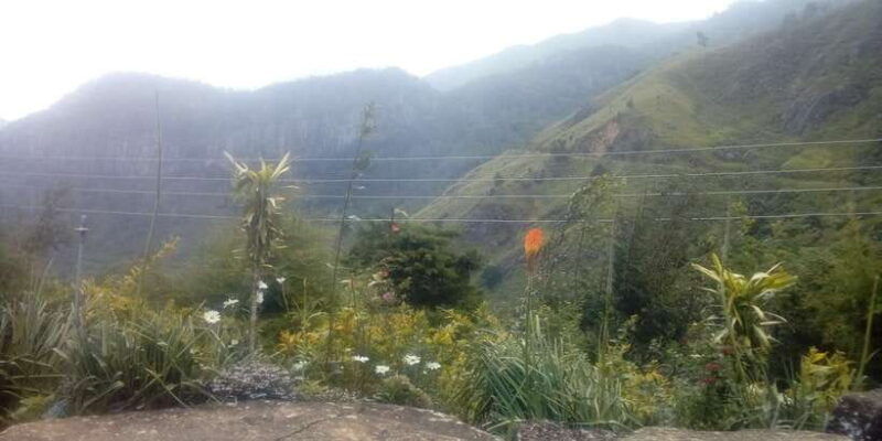 the-pekoe-trail-stage-12-trekking-fm-udaweriya-to-haputale