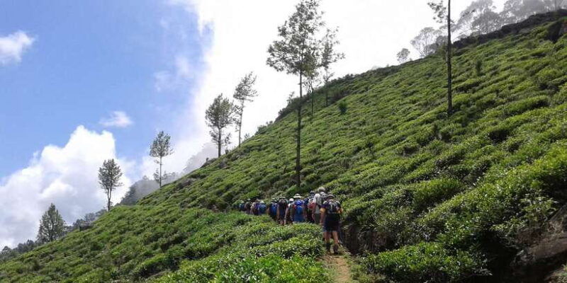 the-pekoe-trail-stage-14st-catherine-to-makulella