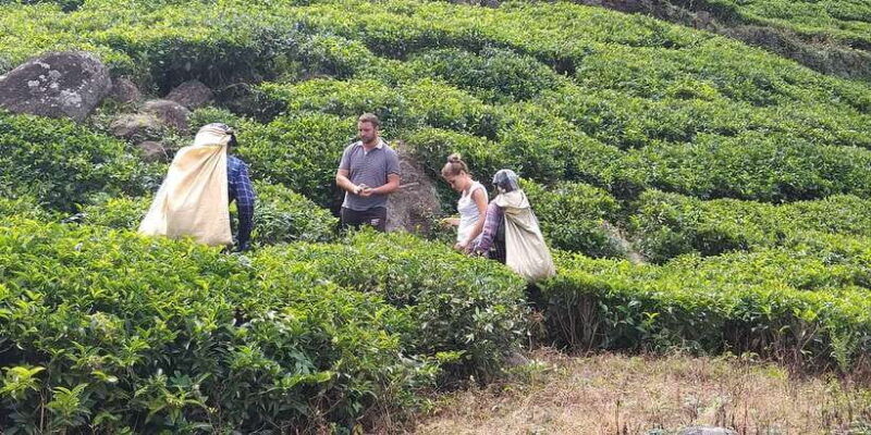 the-pekoe-trail-stage-14st-catherine-to-makulella